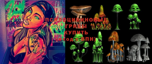 бошки Арсеньев